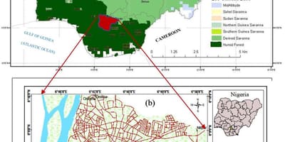 Mapa ng nigeria nagpapakita ng mga halaman sinturon