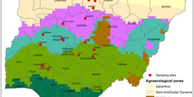 Mapa ng nigeria ng pagpapakita ng mga i-crop ang pamamahagi